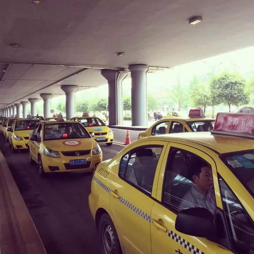重慶出租車行業(yè)警示 拒載行為將面臨嚴(yán)厲處罰